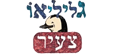 גליליאו צעיר בע"מ